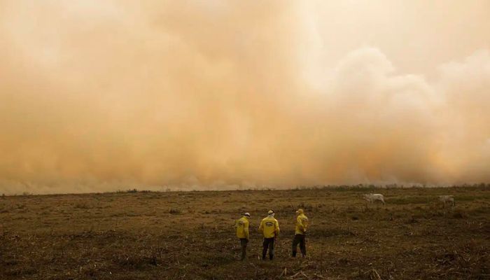 Governo quer plano de controle de desmatamento para todos os biomas